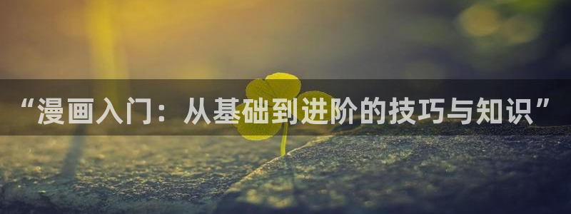 漫画岛下载官方免费：“漫画入门：从基础到进阶的技巧与知识”