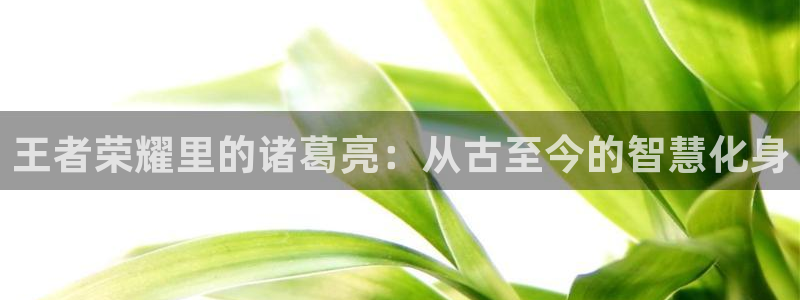 漫画岛app官方下载：王者荣耀里的诸葛亮：从古至今的智慧化身